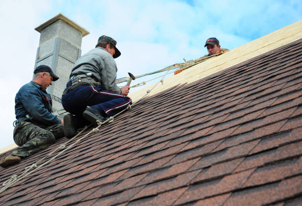 Gutter Installation and Roofing in Lemmon Valley, NV